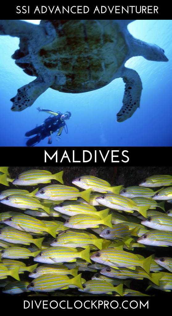 SSI ADVANCED ADVENTURER - Rannalhi, South Male Atoll - Maldives