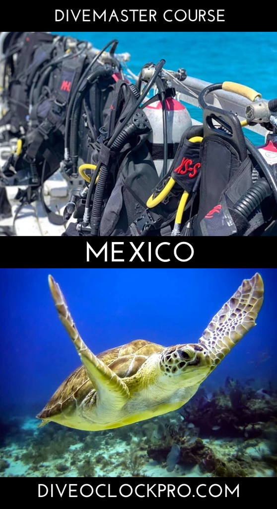 PADI Divemaster Course DIVE MASTER COURSE - Cancun - Mexico