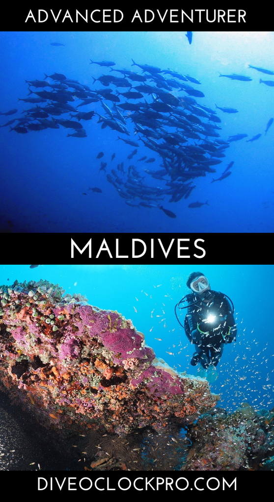 SSI ADVANCED ADVENTURER - Meedhupparu Island, Raa Atoll - Maldives