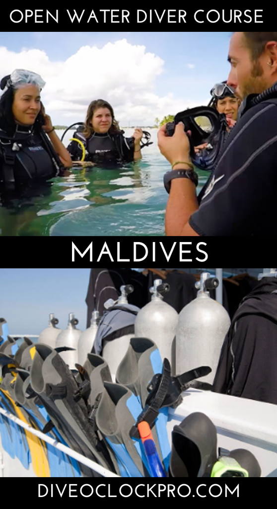 SSI Open water course   - Rasdhoo / Ukulhas - Maldives
