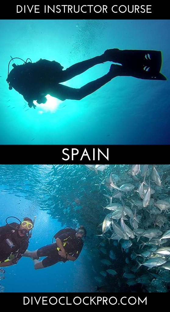 PADI Dive instructor course with accomodations - Barcelona - Spain