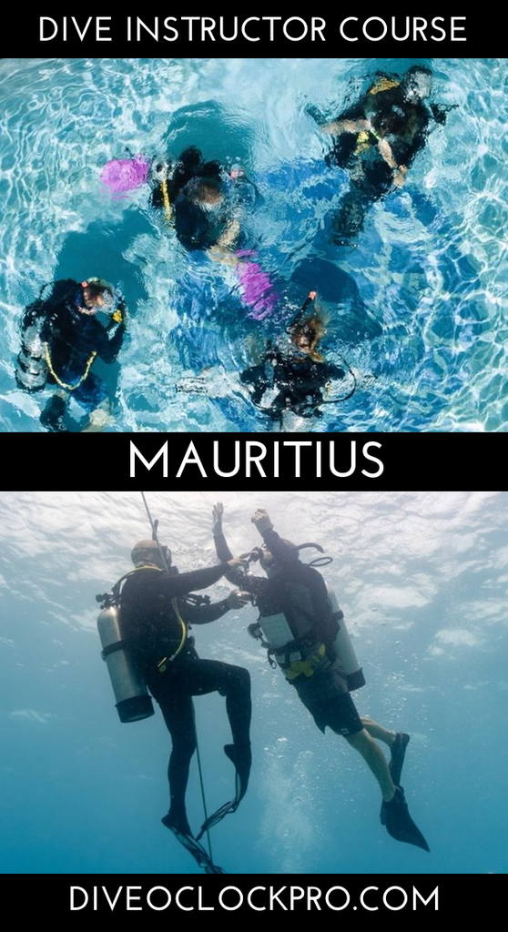 PADI Instructor Development Course with EFR Instructor, O2 Provider Specialty and Accommodation - Mauritius - Mauritius