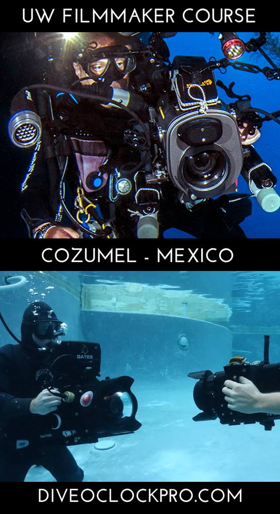 PADI THE UNDERWATER VIDEOGRAPHY CERTIFICATION COURSE - San Miguel de Cozumel - Mexico