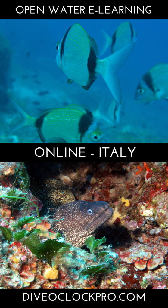 PADI Dry Suit Diver Specialty - Province of Pisa - Italy