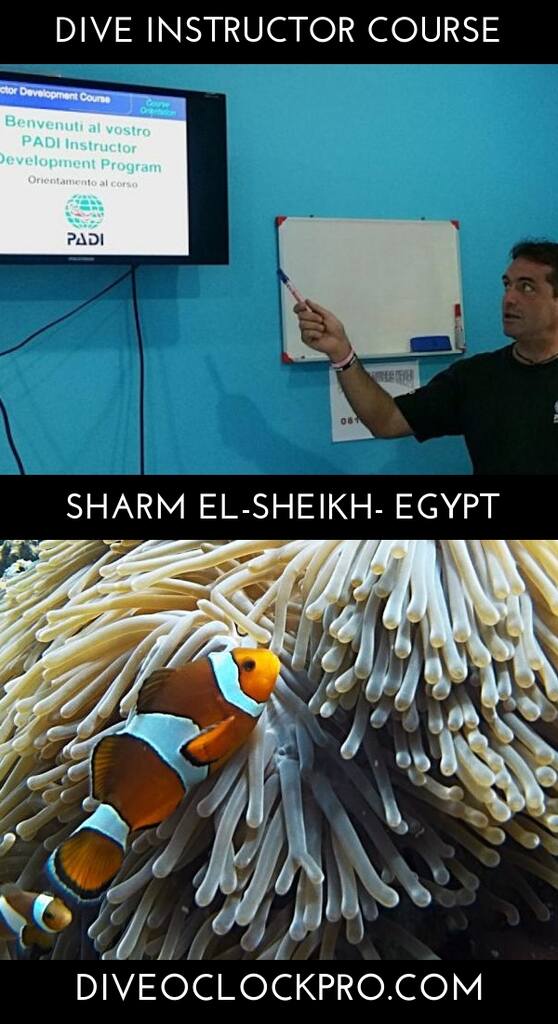 Instructor Course PADI IDC - Sharm El-Sheikh - Egypt