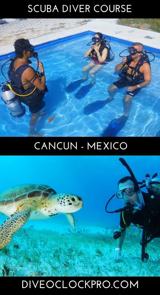 PADI SCUBA DIVER COURSE - Cancun - Mexico