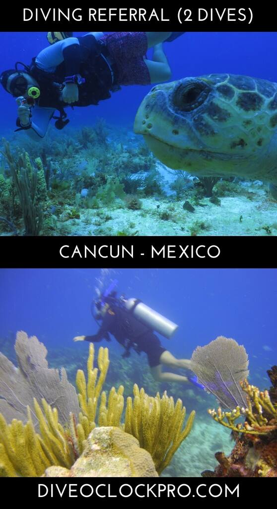 PADI DIVING REFERRAL (2 DIVES) - Cancun - Mexico