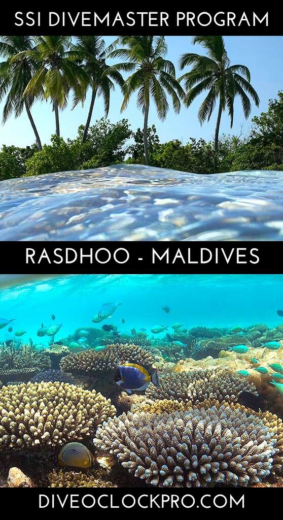 SSI Divemaster Program  / Programa Divemaster  - Rasdhoo - Maldives