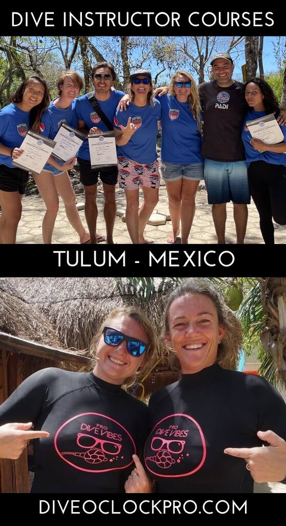 PADI Instructor Course - Tulum - Mexico