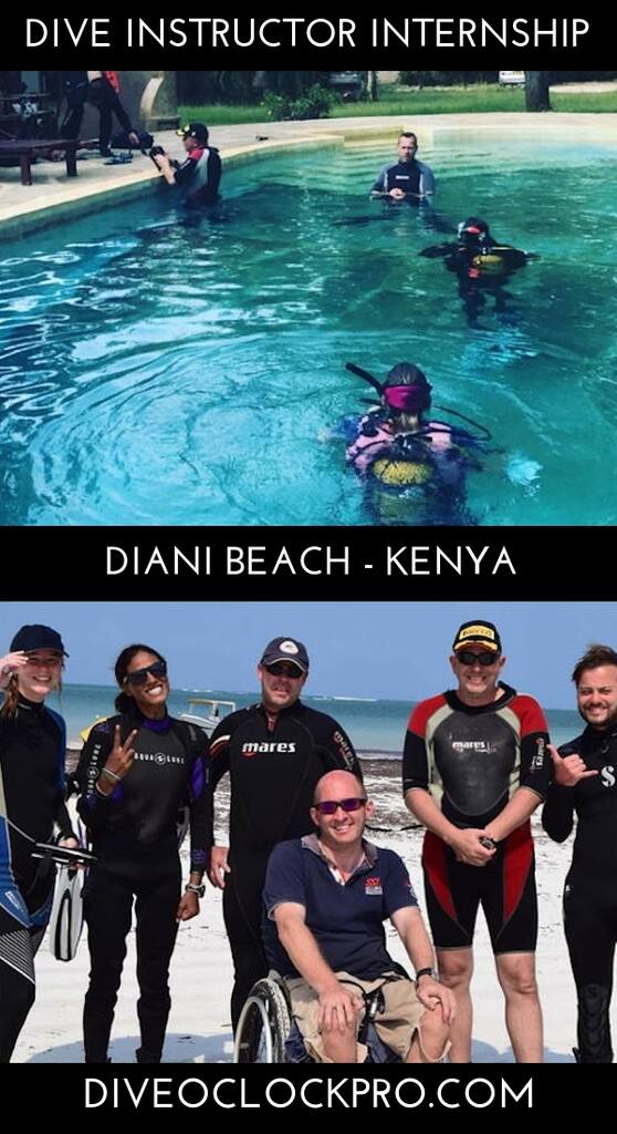 Zero to Hero PADI Dive Instructor Internship - Diani Beach - Kenya