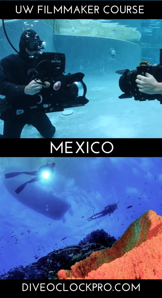 PADI THE UNDERWATER VIDEOGRAPHY COURSE & CERTIFICATION - Cozumel - Mexico