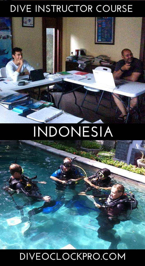 PADI Instructor Course IDC package Gold with EFRI - Sanur - Indonesia