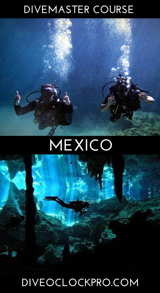 PADI Divemaster Course Dive Master Course including accommodation, breakfast and free Cenote Cavern Diving - Tulum - Mexico