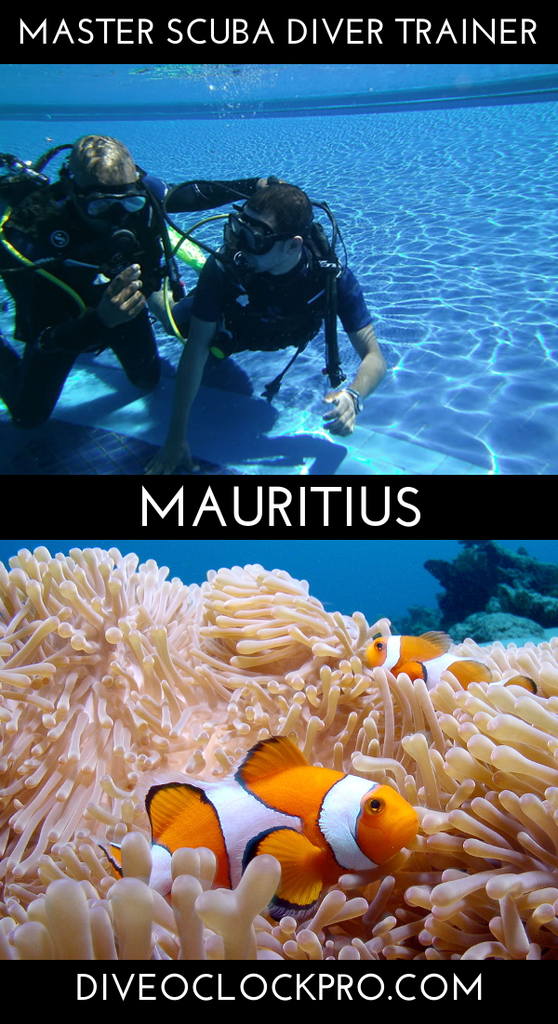 PADI Instructor Course MASTER SCUBA DIVER TRAINER - Bel Ombre - Mauritius