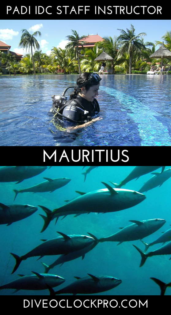 PADI IDC STAFF INSTRUCTOR - Bel Ombre - Mauritius