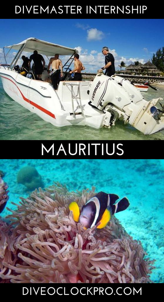 PADI Divemaster Internship - Blue Bay - Mauritius