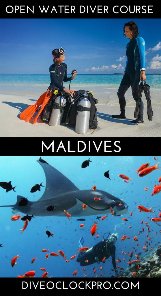 SSI Open Water Diver - K. Guraidhoo, South Male Atoll - Maldives