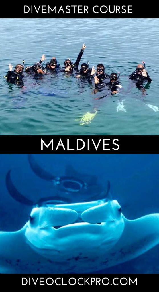 SSI Mermaid Instructor Course - K. Guraidhoo, South Male Atoll - Maldives