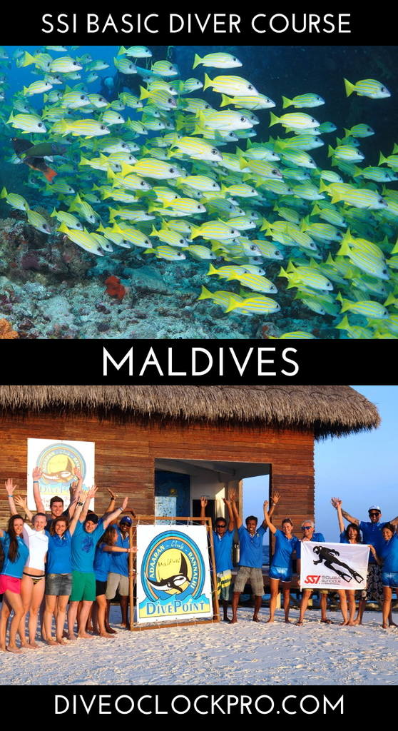 SSI Basic Diver - Rannalhi, South Male Atoll - Maldives