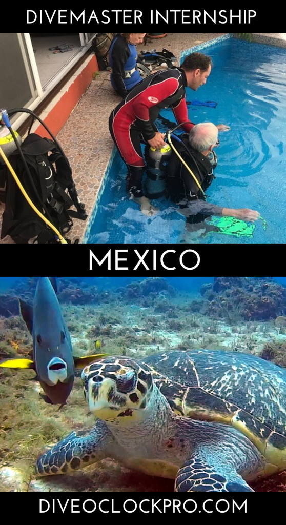 SSI Divemaster Internship in Cozumel - San Miguel de Cozumel - Mexico