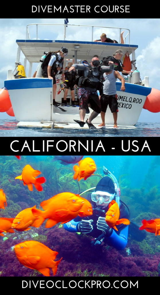 PADI Divemaster - California, Camarillo - United States