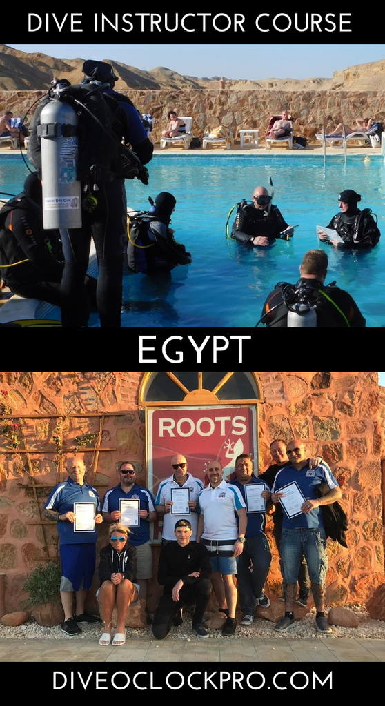 PADI Instructor Development Course - El Quseir/Red Sea - Egypt