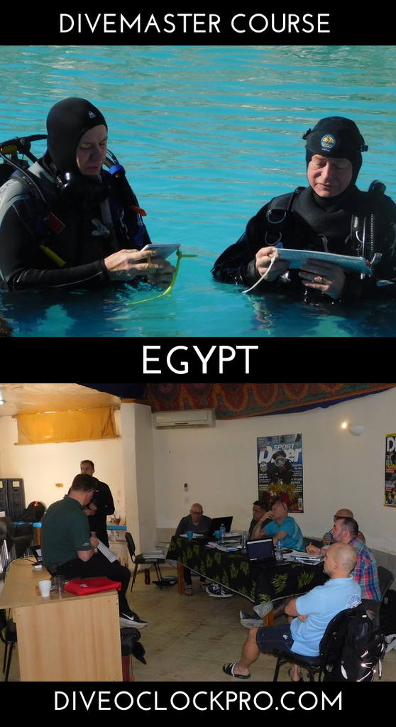 RAID Divemaster Course Dive Master - El Quseir/Red Sea - Egypt