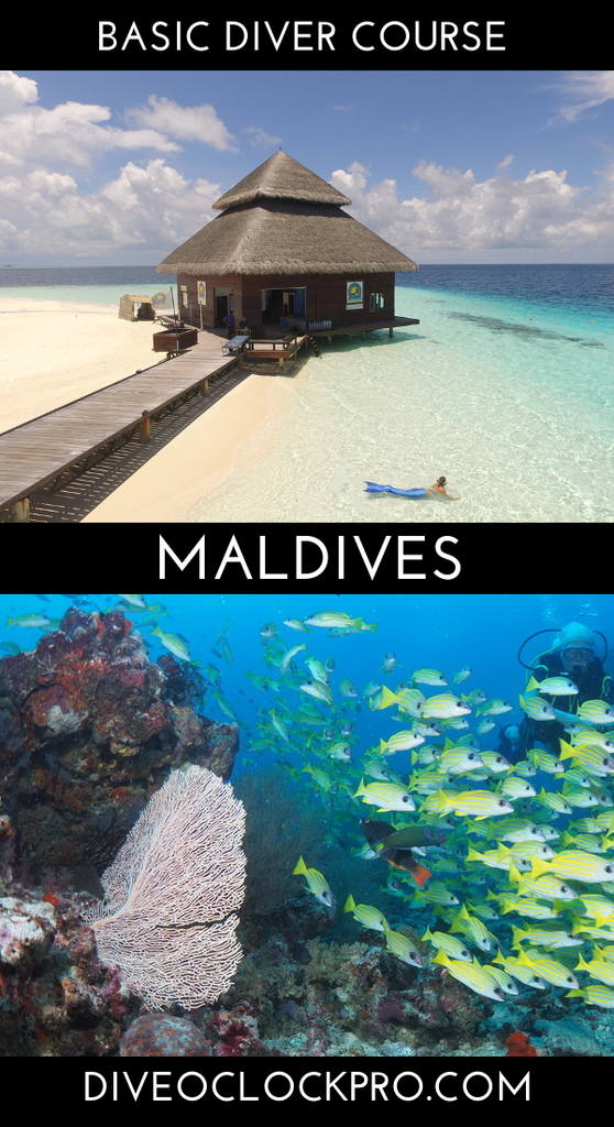SSI  Basic Diver - Meedhupparu Island, Raa Atoll - Maldives