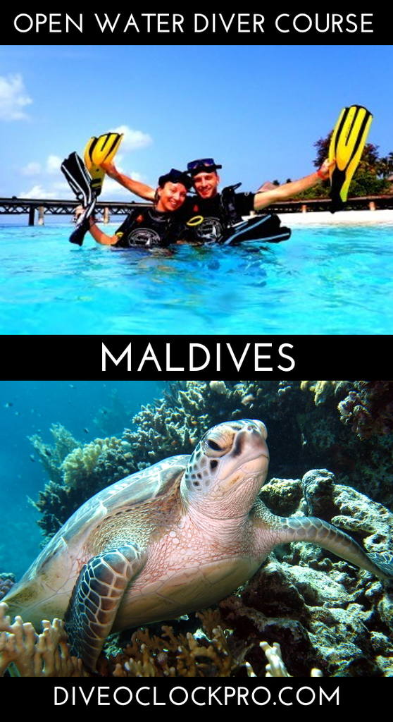 SSI OPEN WATER DIVER - Meedhupparu Island, Raa Atoll - Maldives