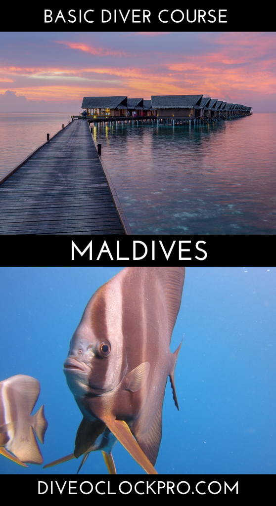 SSI Basic Diver - Hudhuranfushi Island, North Male Atoll - Maldives