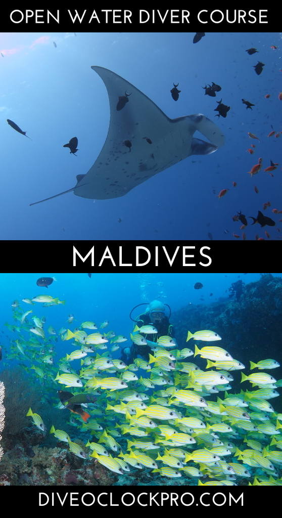 SSI OPEN WATER DIVER - Hudhuranfushi Island, North Male Atoll - Maldives