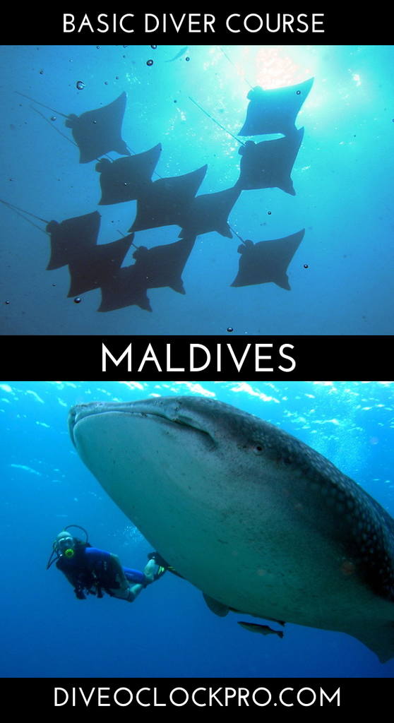 SSI Basic Diver - You & Me, Uthurumaafaru, Ungoofaaru - Maldives