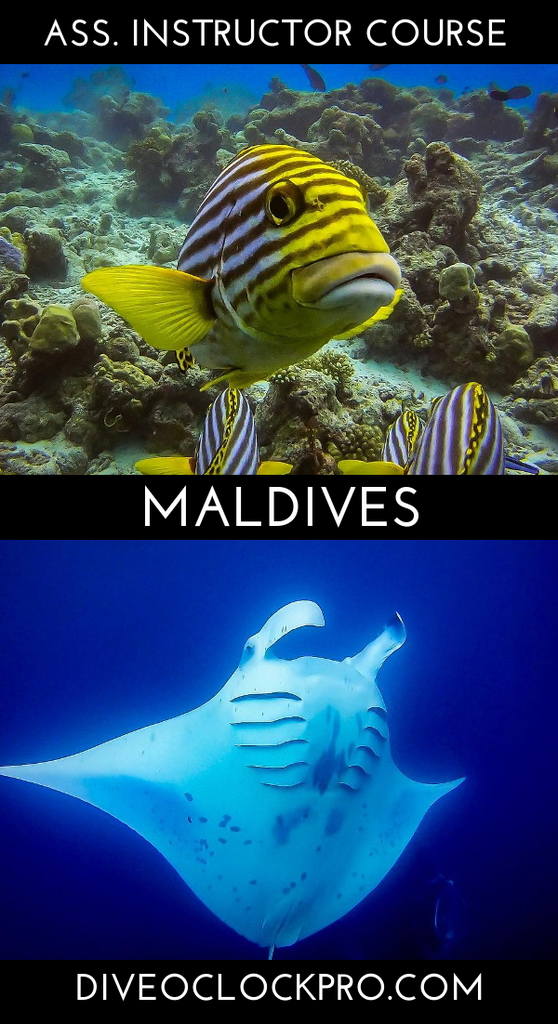SSI Freediving Level 1 (20meters) - Rasdhoo / Ukulhas - Maldives