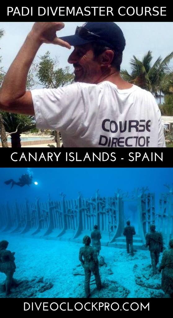 INTERNSHIP DIVEMASTER - PADI - PADI ZERO-TO- DIVEMASTER & INSTRUCTOR - PLAYA BLANCA - CANARY ISLAND - Spain