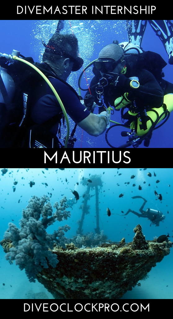 PADI Divemaster Internship - Mauritius - Mauritius