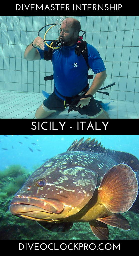 PADI Divemaster Course and Internship - Sicily - Italy
