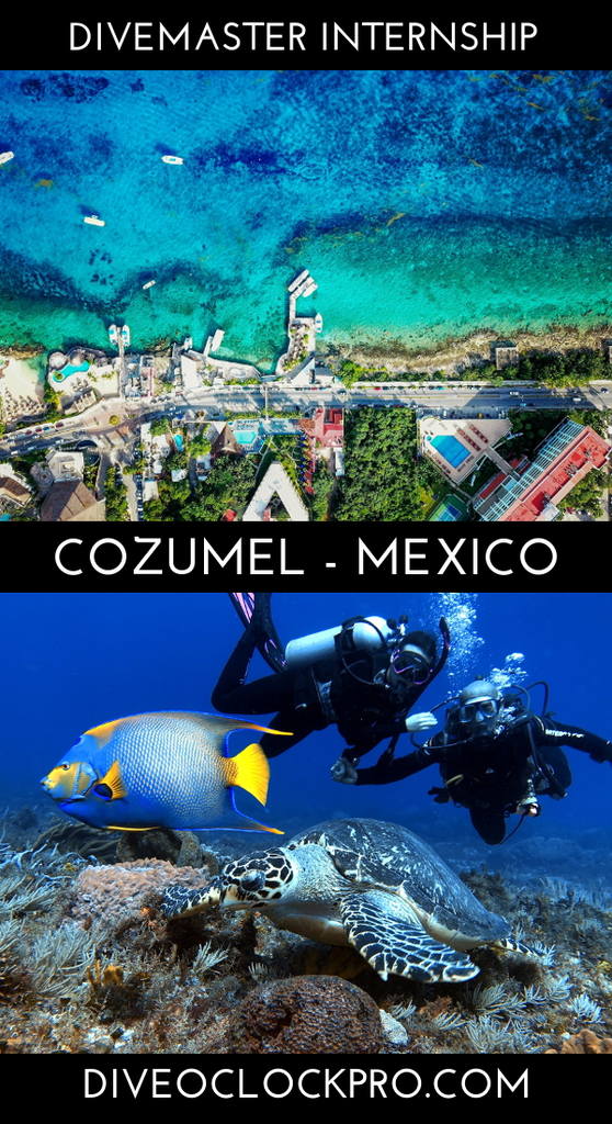 PADI Cozumel Divemaster Internship - Cozumel - Mexico