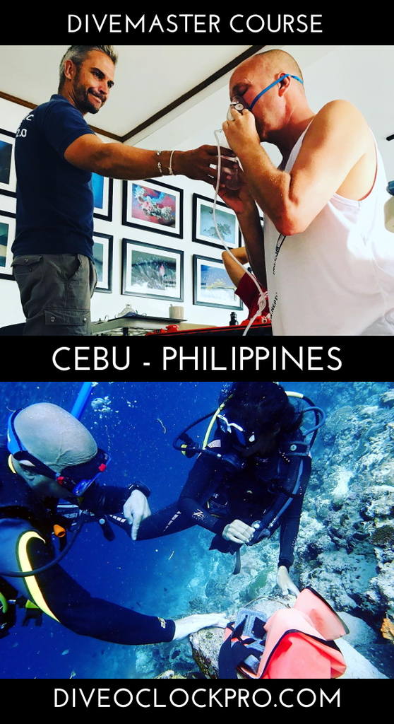 Padi Divemaster course  - Moalboal, Cebu - Philippines
