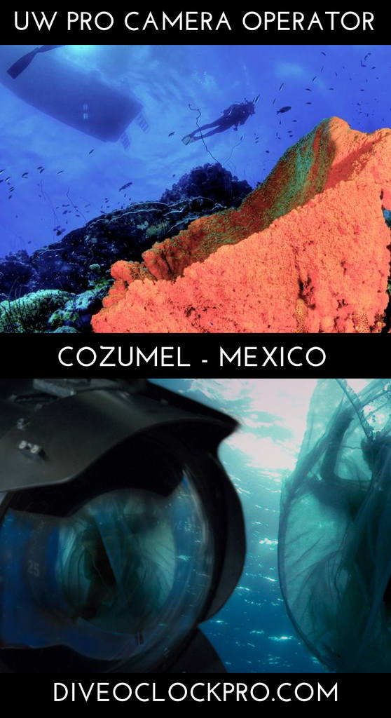 PADI THE UNDERWATER CAMERA OPERATOR COURSE - San Miguel de Cozumel - Mexico