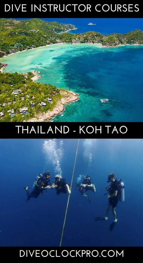 SSI Dive instructor course with accommodation  - Ko Tao - Thailand