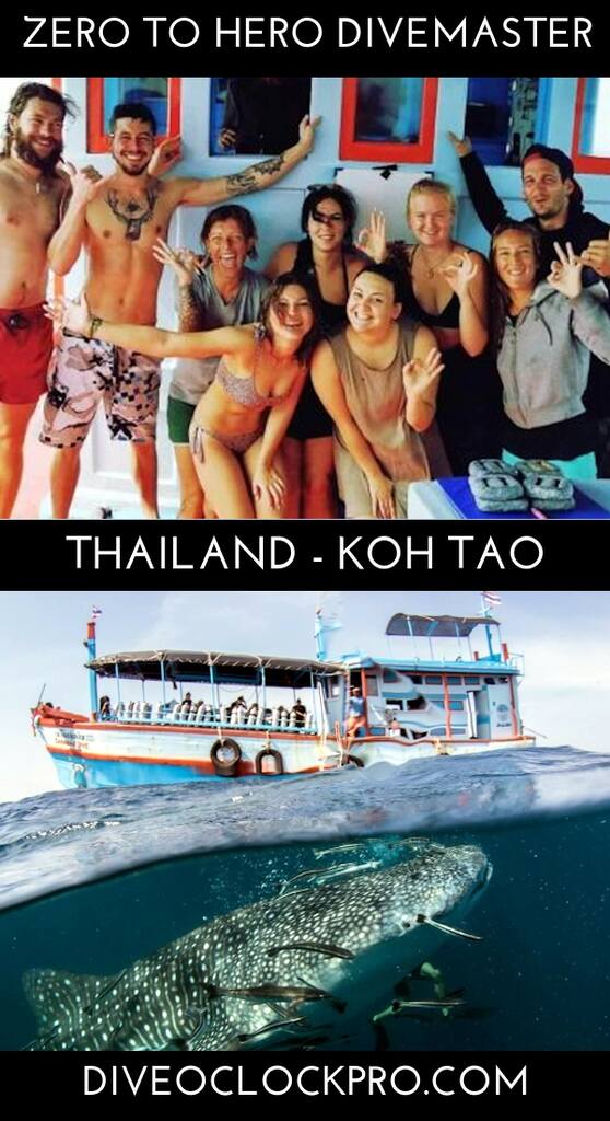 SSI Divemaster Course Zero to hero  - Ko Tao - Thailand