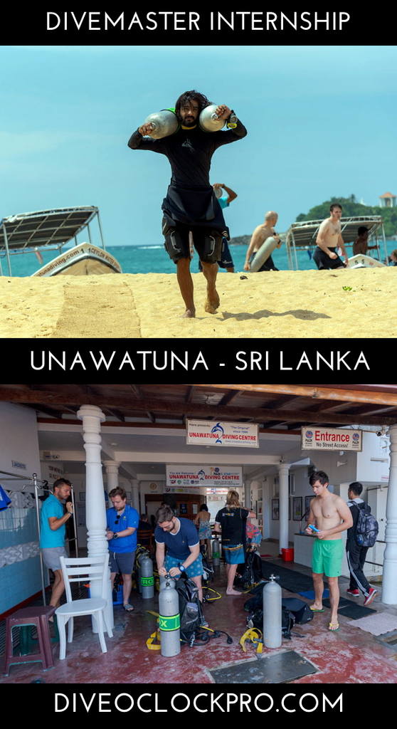 PADI Divemaster Internship - Unawatuna/Galle - Sri Lanka