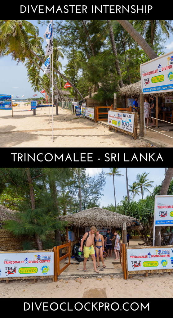 PADI Divemaster Internship - Trincomalee - Sri Lanka