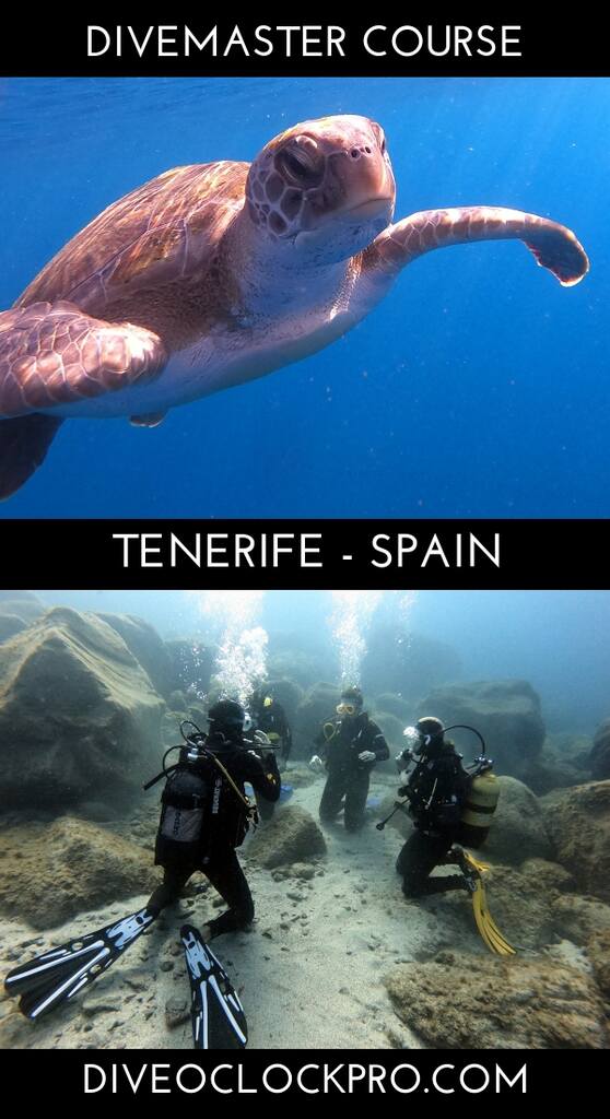 PADI Zero-to-Hero Divemaster - Santa Cruz de Tenerife - Spain