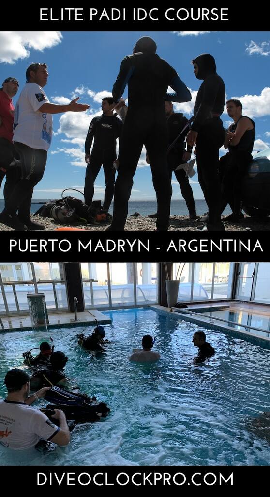 Instructor Course PADI IDC at Patagonia Argentina- Elite Pack - Puerto Madryn - Argentina