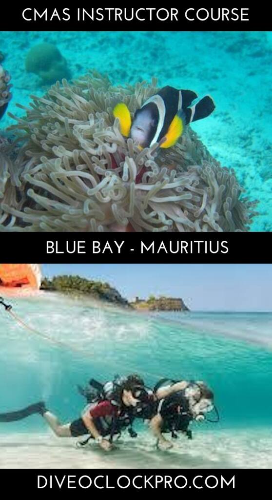 CMAS LEVEL 2 Instructor Course - Blue Bay - Mauritius