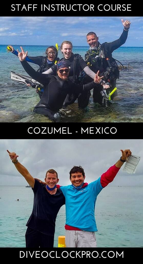 PADI IDC Staff Instructor Course and IDC Audit with accommodation. - Cozumel - Mexico