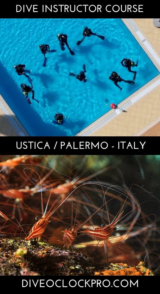 PADI Instructor Development Course April 2021 - Sicily - Italy