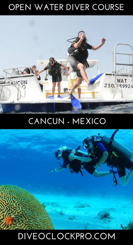 PADI OPEN WATER DIVER - Cancun - Mexico