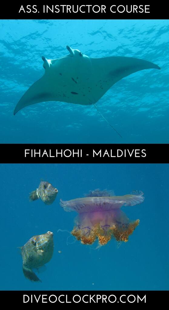 PADI Assistant Instructor - Fihalhohi Island Resort -  South Male Atoll,20026,Republic of Maldives - Maldives